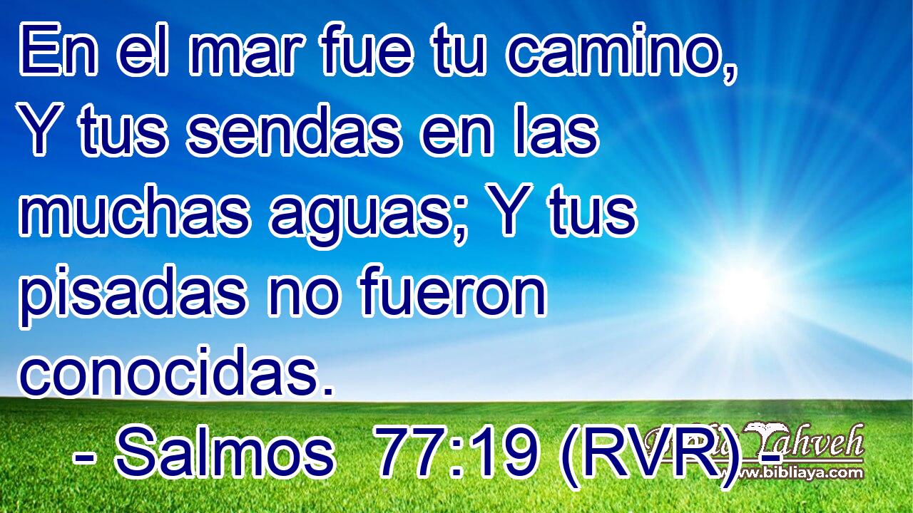 En el mar fue tu camino, Y tus sendas en las muchas aguas; Y tus pisadas no fueron conocidas.