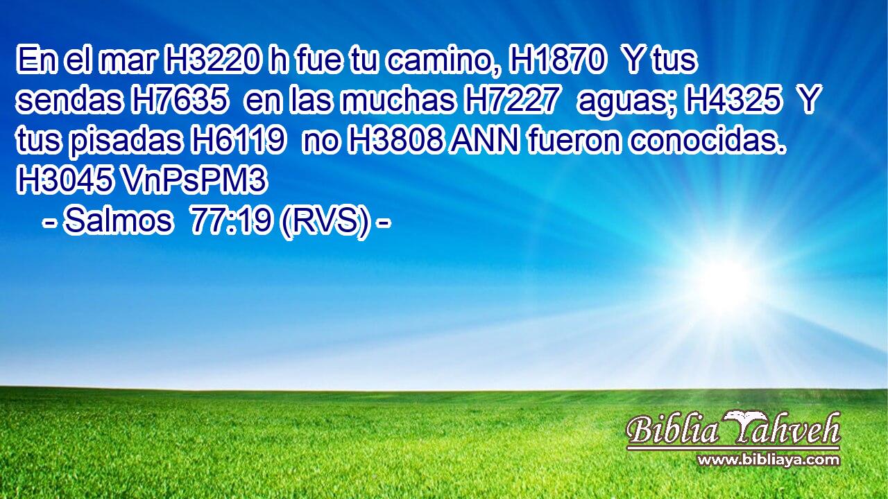 En el mar H3220 h fue tu camino, H1870  Y tus sendas H7635  en las muchas H7227  aguas; H4325  Y tus pisadas H6119  no H3808 ANN fueron conocidas. H3045 VnPsPM3 