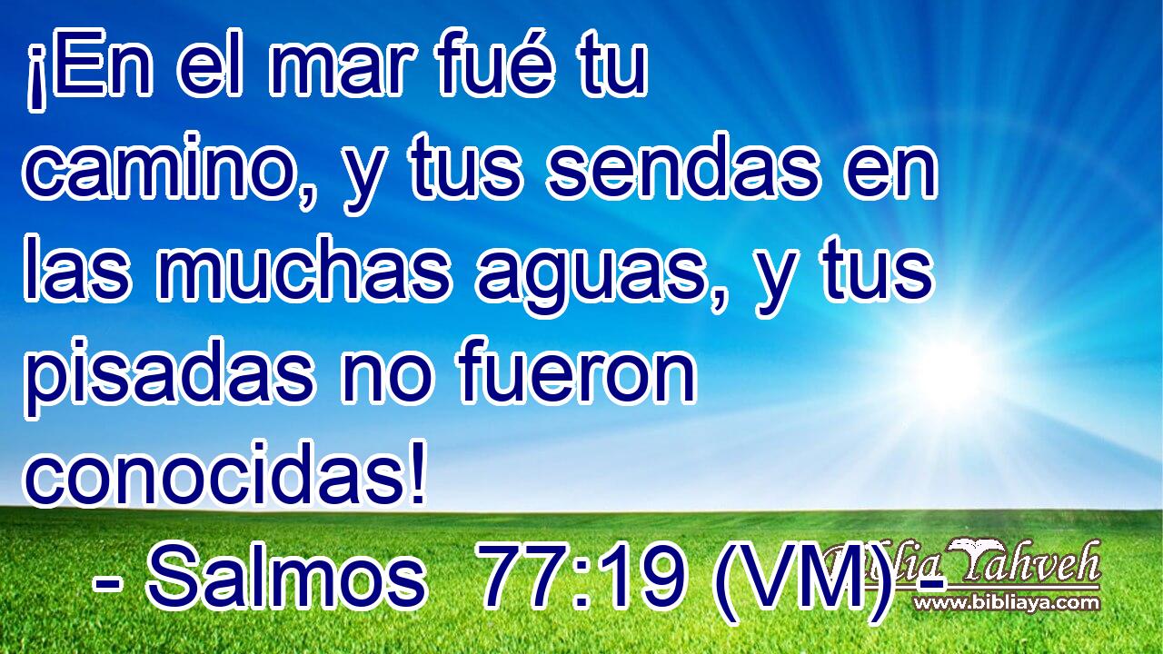  ¡En el mar fué tu camino, y tus sendas en las muchas aguas, y tus pisadas no fueron conocidas! 