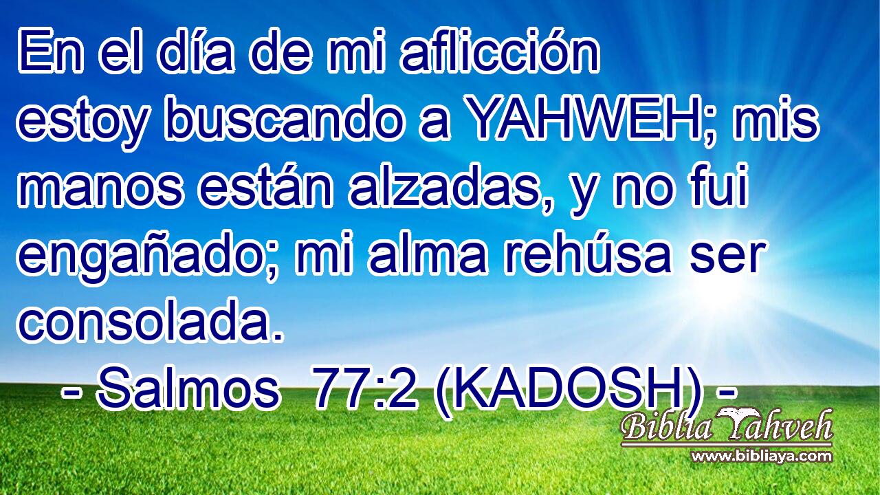  En el día de mi aflicción estoy buscando a YAHWEH; mis manos están alzadas, y no fui engañado; mi alma rehúsa ser consolada. 