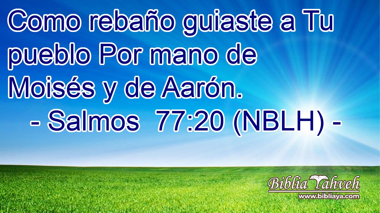  Como rebaño guiaste a Tu pueblo Por mano de Moisés y de Aarón. 