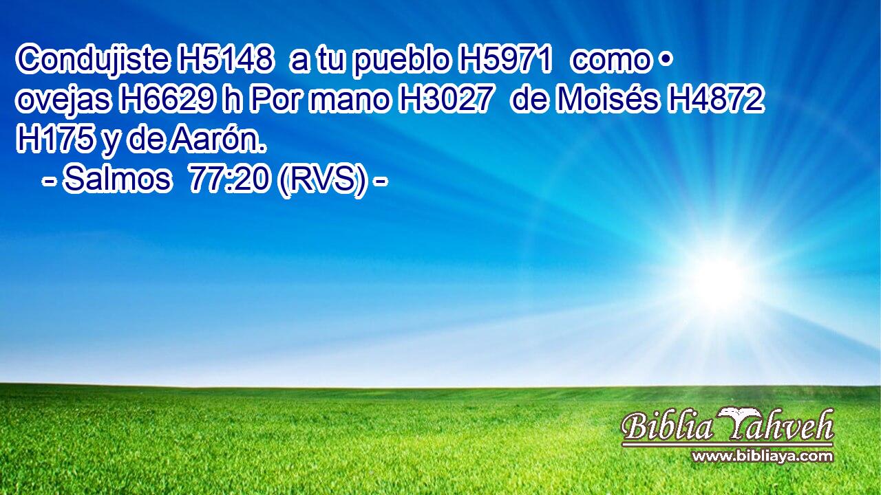 Condujiste H5148  a tu pueblo H5971  como • ovejas H6629 h Por mano H3027  de Moisés H4872  H175 y de Aarón. 