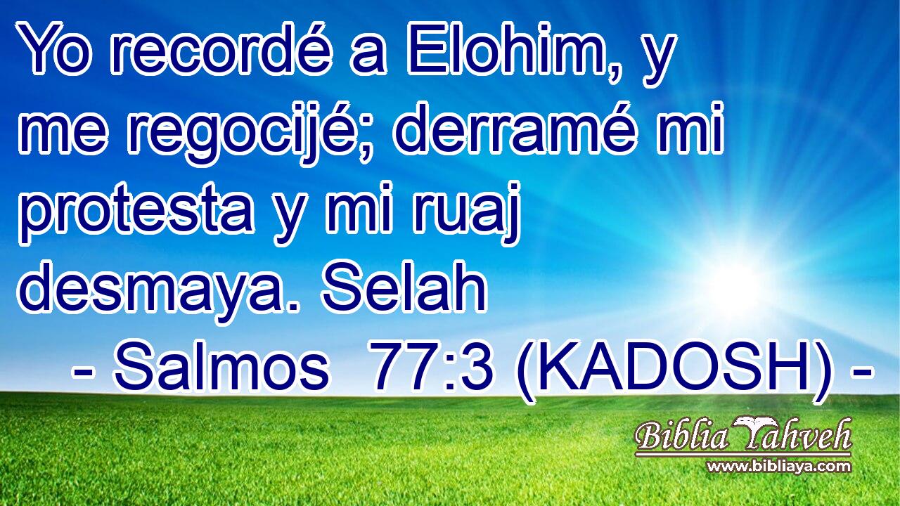  Yo recordé a Elohim, y me regocijé; derramé mi protesta y mi ruaj desmaya. Selah 