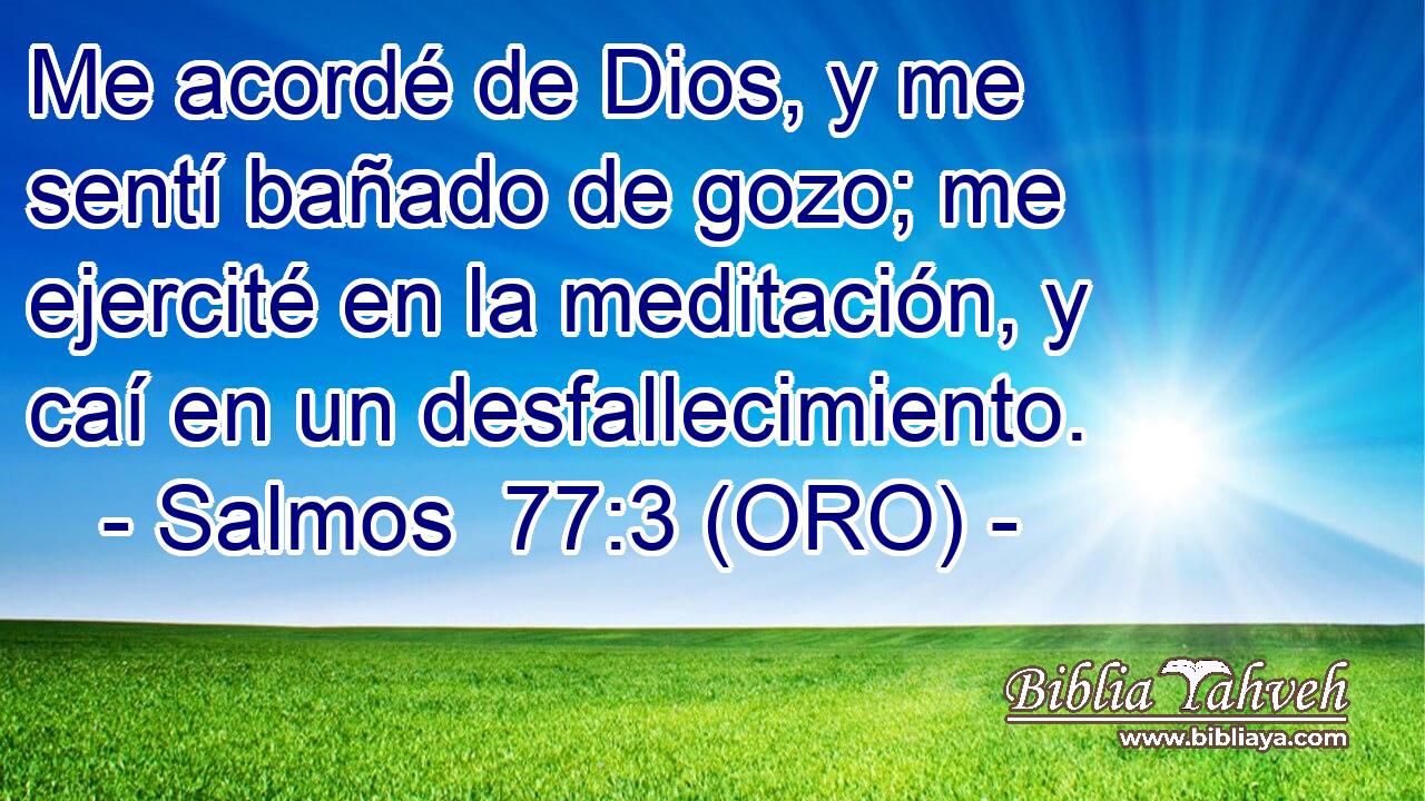  Me acordé de Dios, y me sentí bañado de gozo; me ejercité en la meditación, y caí en un desfallecimiento. 