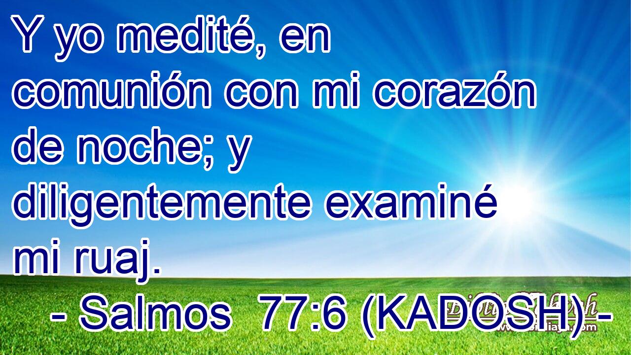  Y yo medité, en comunión con mi corazón de noche; y diligentemente examiné mi ruaj. 