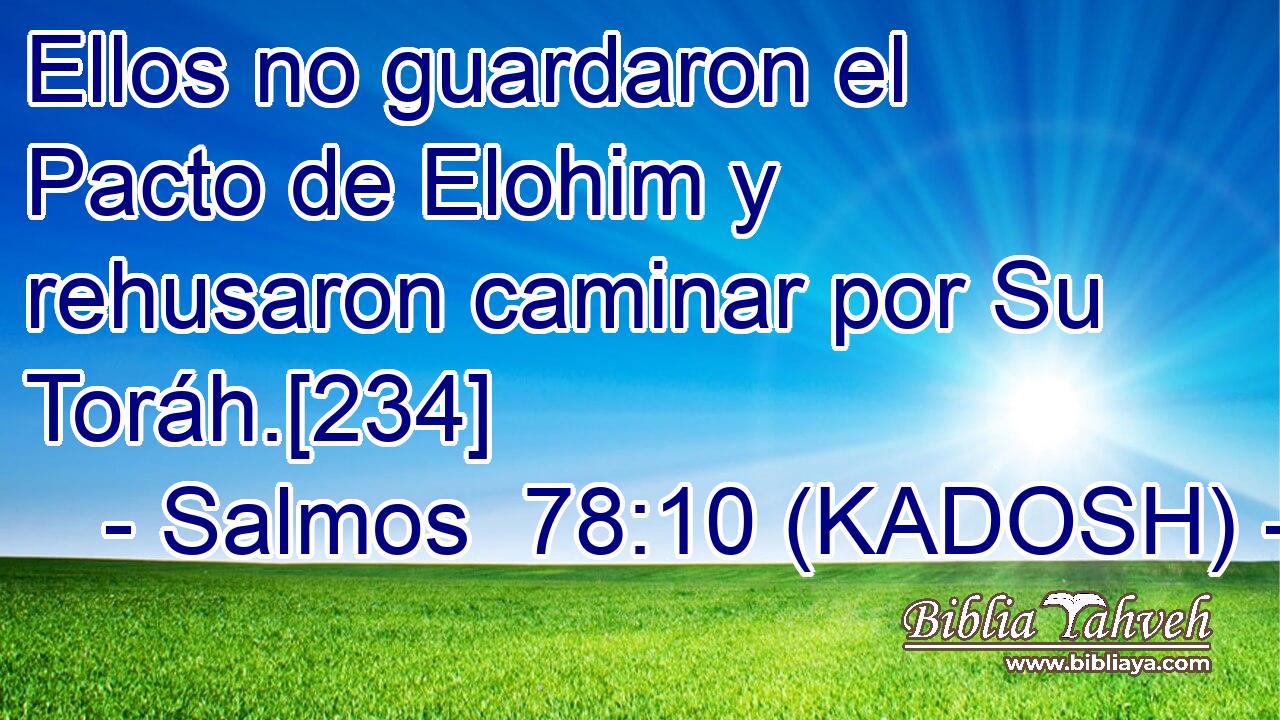  Ellos no guardaron el Pacto de Elohim y rehusaron caminar por Su Toráh.[234] 