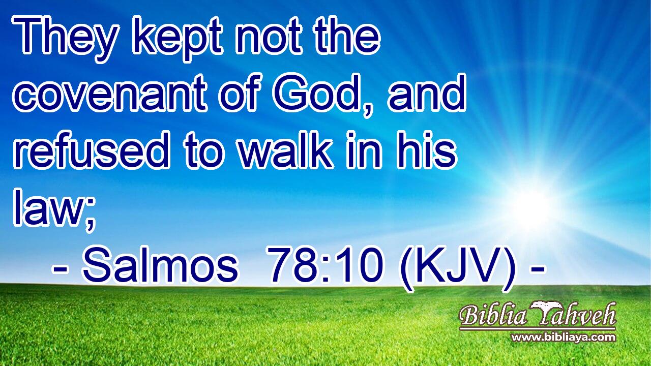 They kept not the covenant of God, and refused to walk in his law;