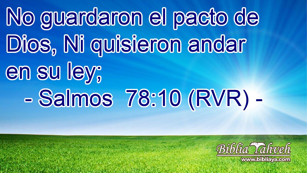 No guardaron el pacto de Dios, Ni quisieron andar en su ley;