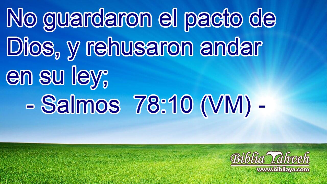  No guardaron el pacto de Dios, y rehusaron andar en su ley; 