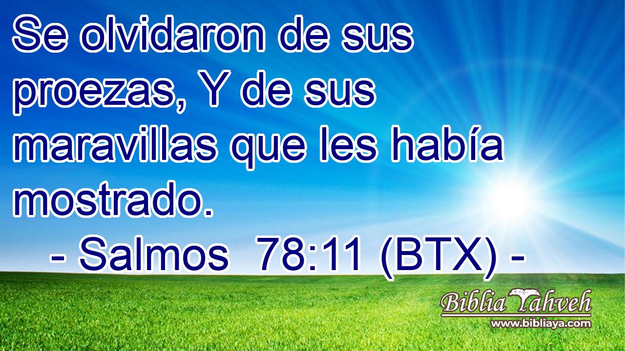 Se olvidaron de sus proezas, Y de sus maravillas que les había mostrado.