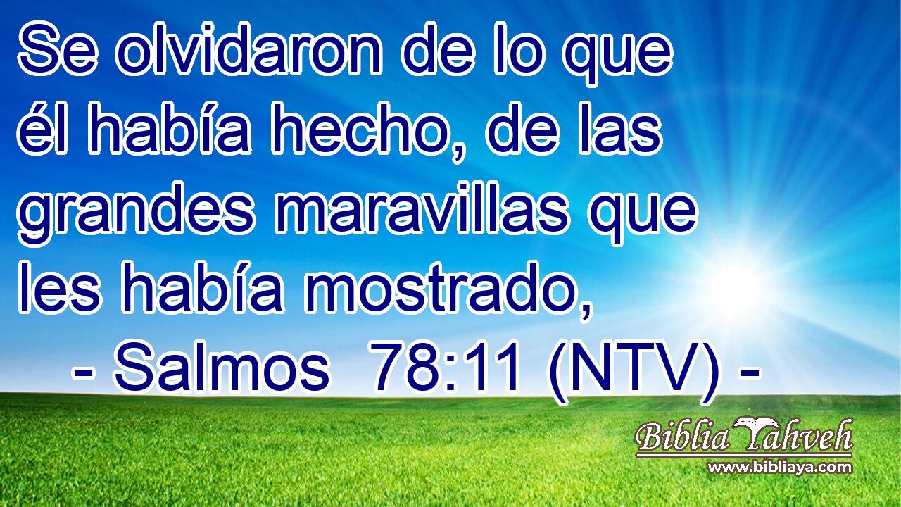 Se olvidaron de lo que él había hecho, de las grandes maravillas que les había mostrado,