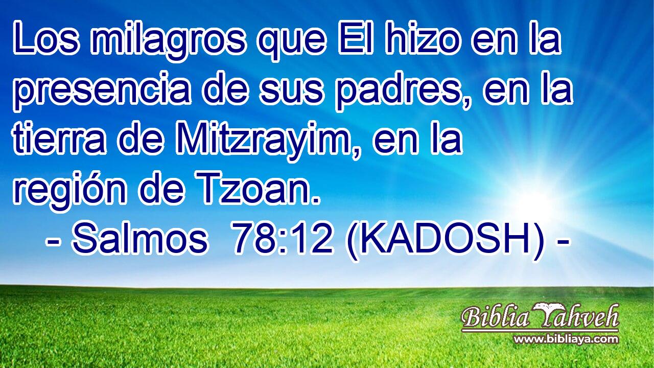  Los milagros que El hizo en la presencia de sus padres, en la tierra de Mitzrayim, en la región de Tzoan. 
