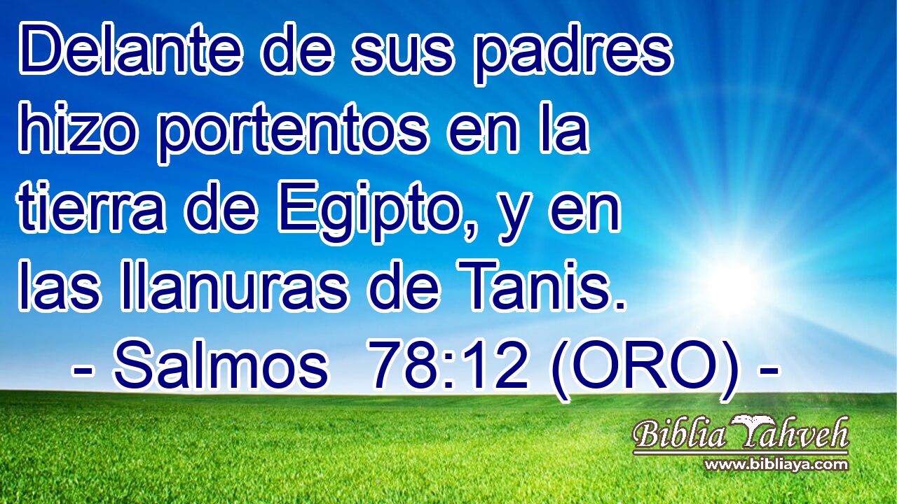  Delante de sus padres hizo portentos en la tierra de Egipto, y en las llanuras de Tanis. 