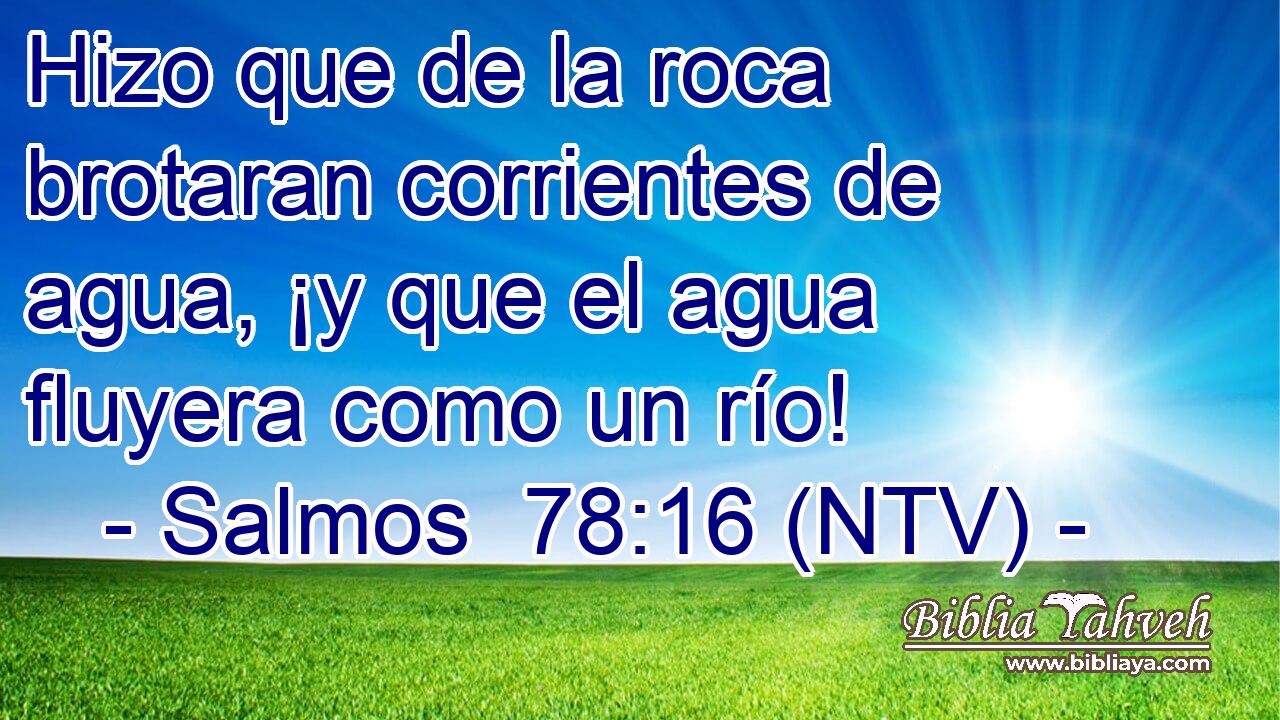 Hizo que de la roca brotaran corrientes de agua, ¡y que el agua fluyera como un río!