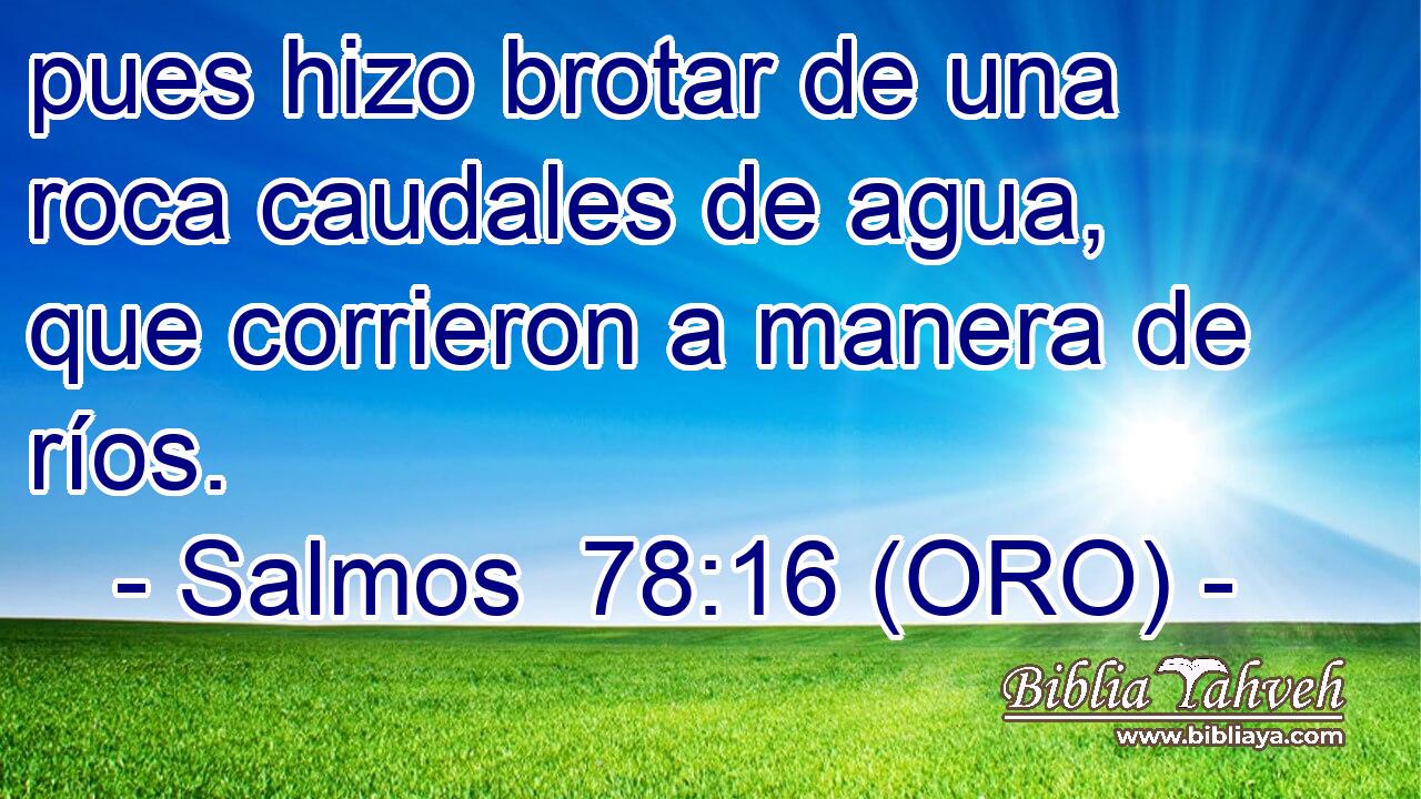  pues hizo brotar de una roca caudales de agua, que corrieron a manera de ríos. 