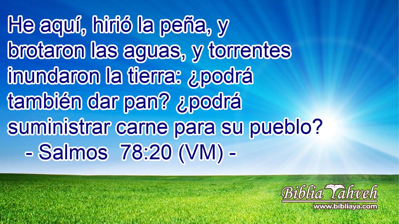  He aquí, hirió la peña, y brotaron las aguas, y torrentes inundaron la tierra: ¿podrá también dar pan? ¿podrá suministrar carne para su pueblo? 