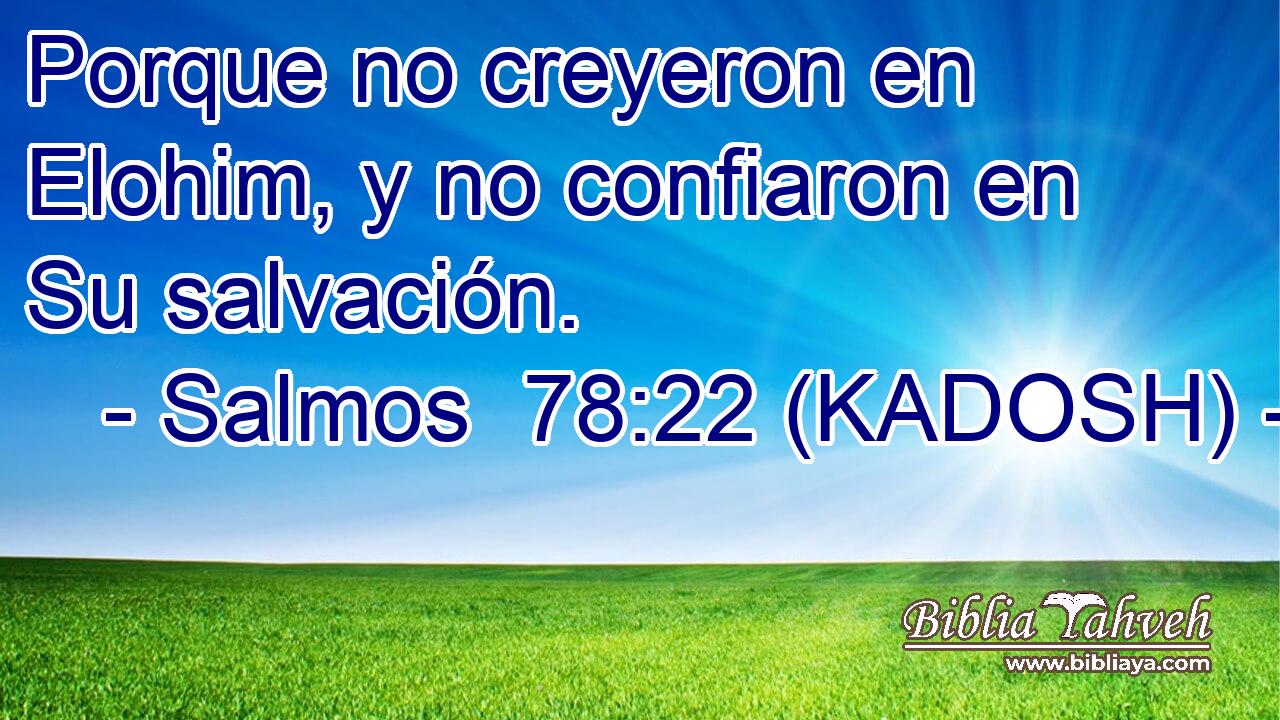  Porque no creyeron en Elohim, y no confiaron en Su salvación. 