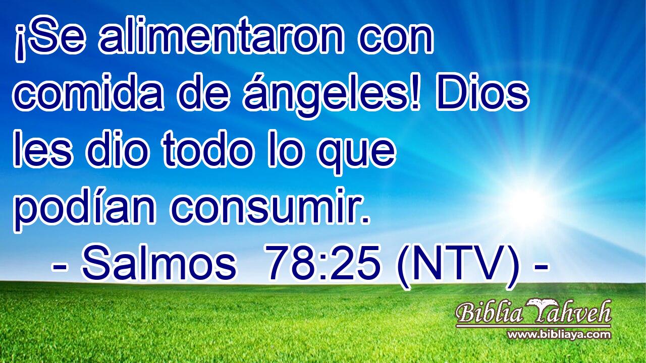 ¡Se alimentaron con comida de ángeles! Dios les dio todo lo que podían consumir.