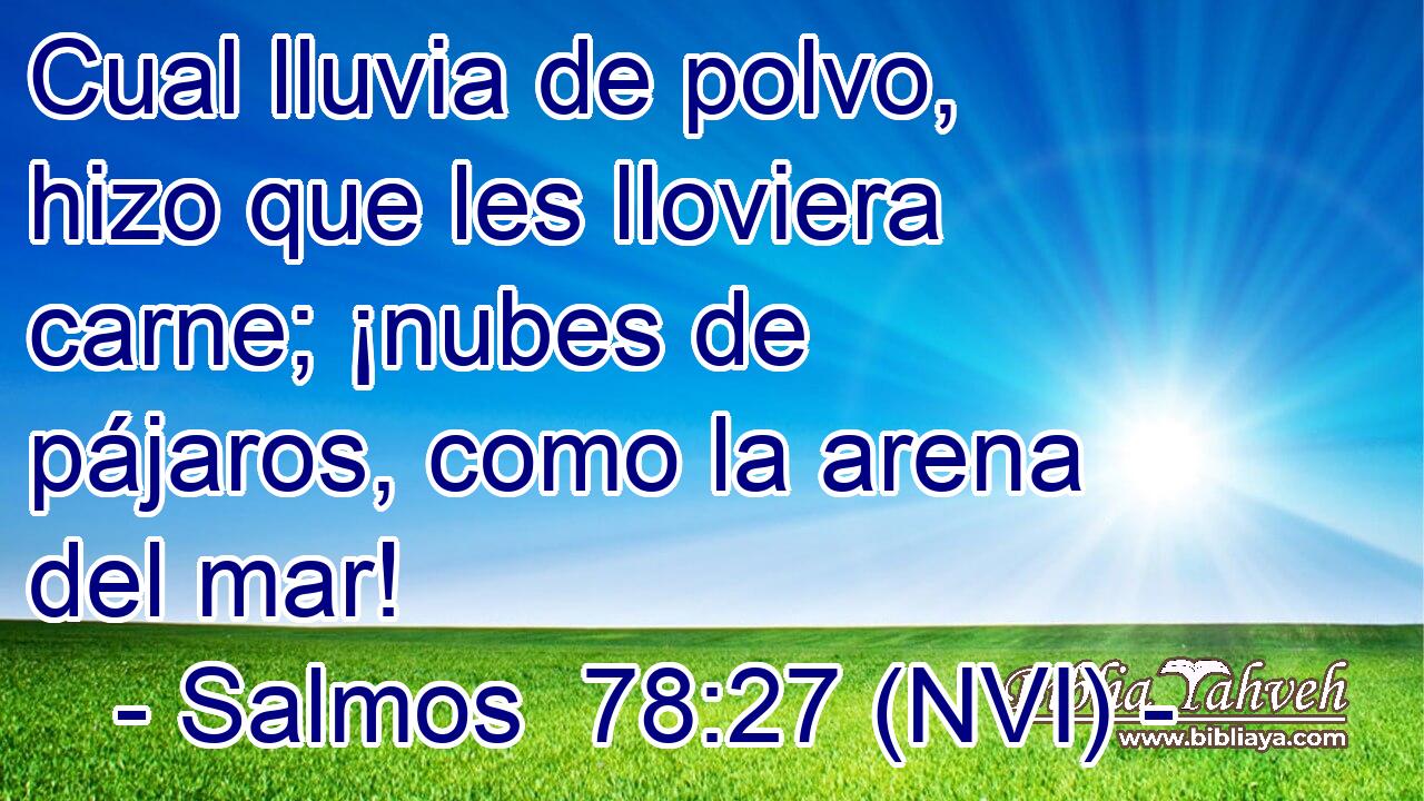  Cual lluvia de polvo, hizo que les lloviera carne; ¡nubes de pájaros, como la arena del mar! 