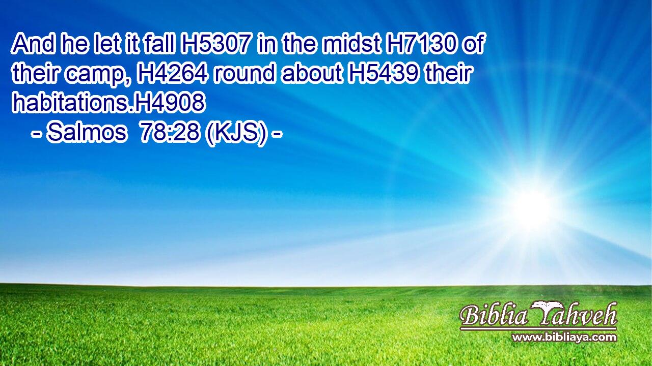And he let it fall H5307 in the midst H7130 of their camp, H4264 round about H5439 their habitations.H4908