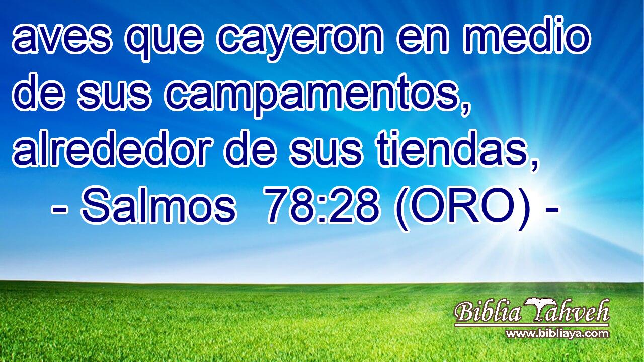  aves que cayeron en medio de sus campamentos, alrededor de sus tiendas, 