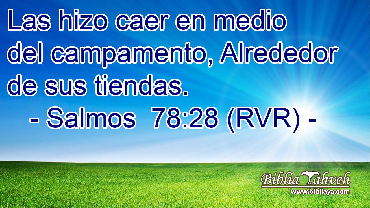 Las hizo caer en medio del campamento, Alrededor de sus tiendas.