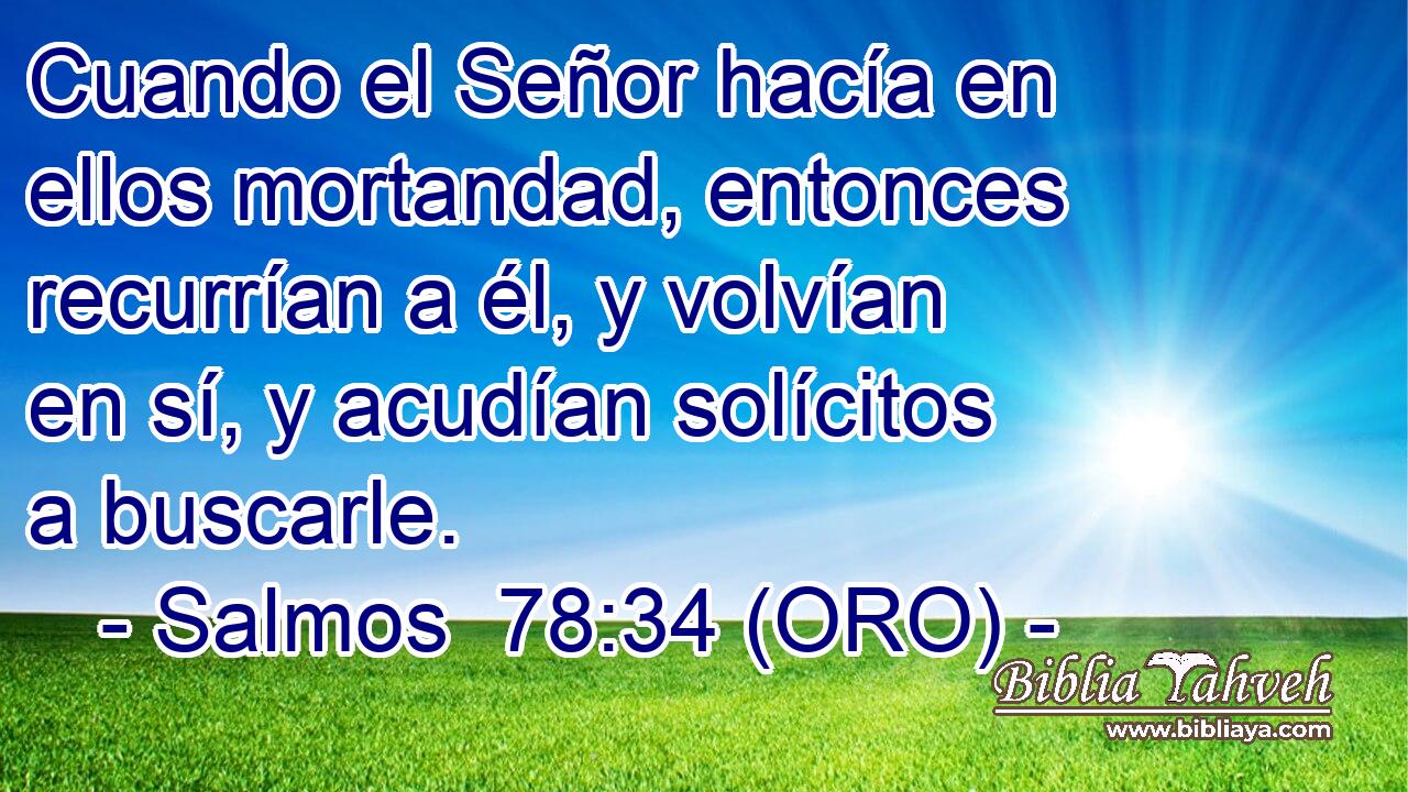  Cuando el Señor hacía en ellos mortandad, entonces recurrían a él, y volvían en sí, y acudían solícitos a buscarle. 