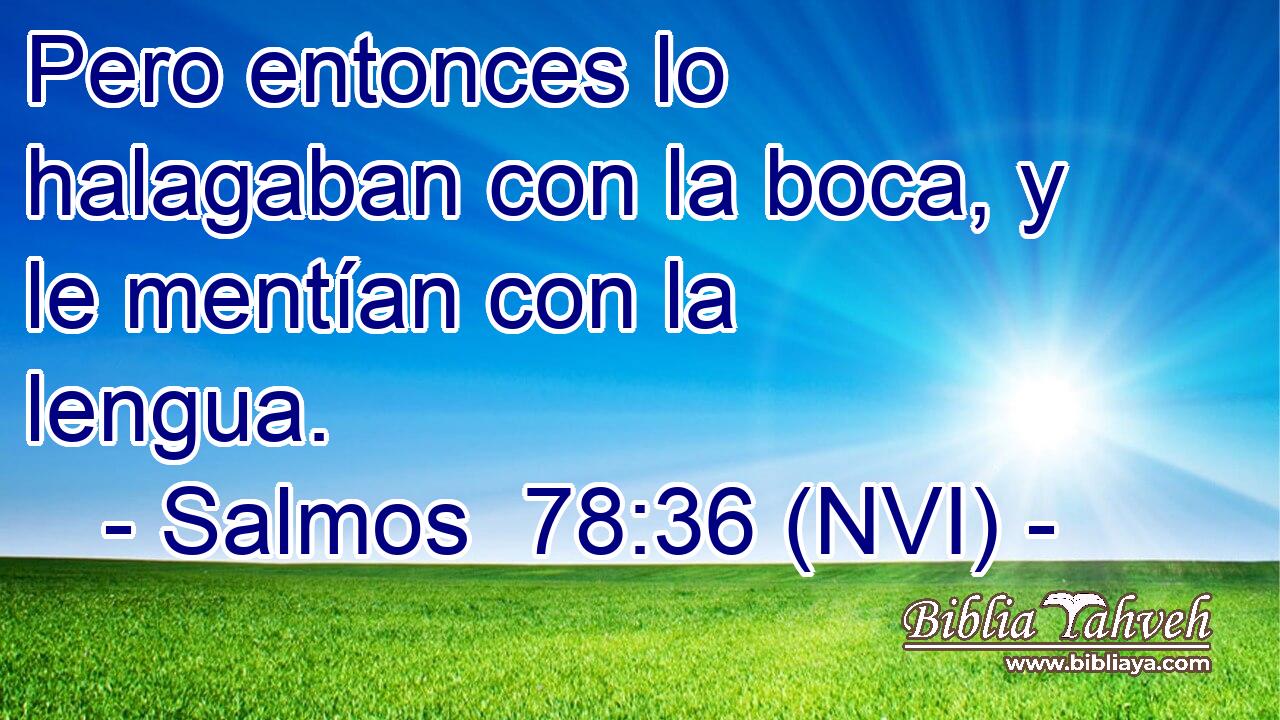  Pero entonces lo halagaban con la boca, y le mentían con la lengua. 