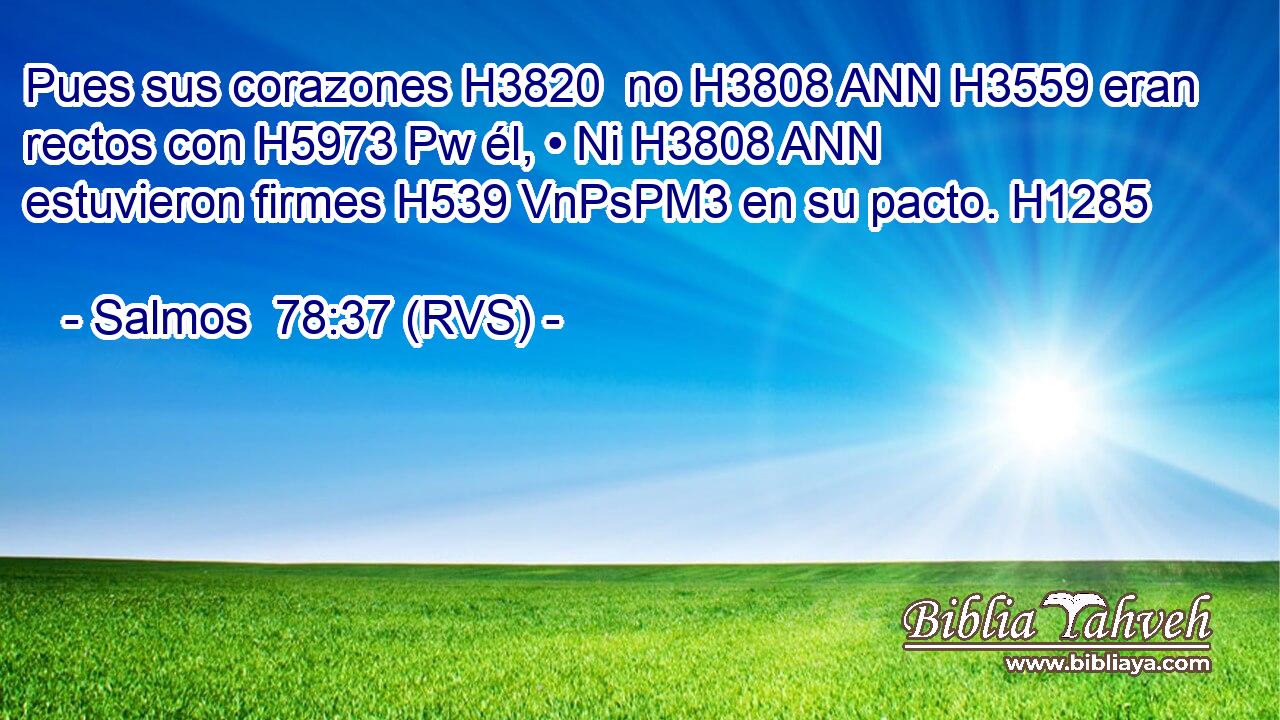 Pues sus corazones H3820  no H3808 ANN H3559 eran rectos con H5973 Pw él, • Ni H3808 ANN estuvieron firmes H539 VnPsPM3 en su pacto. H1285  