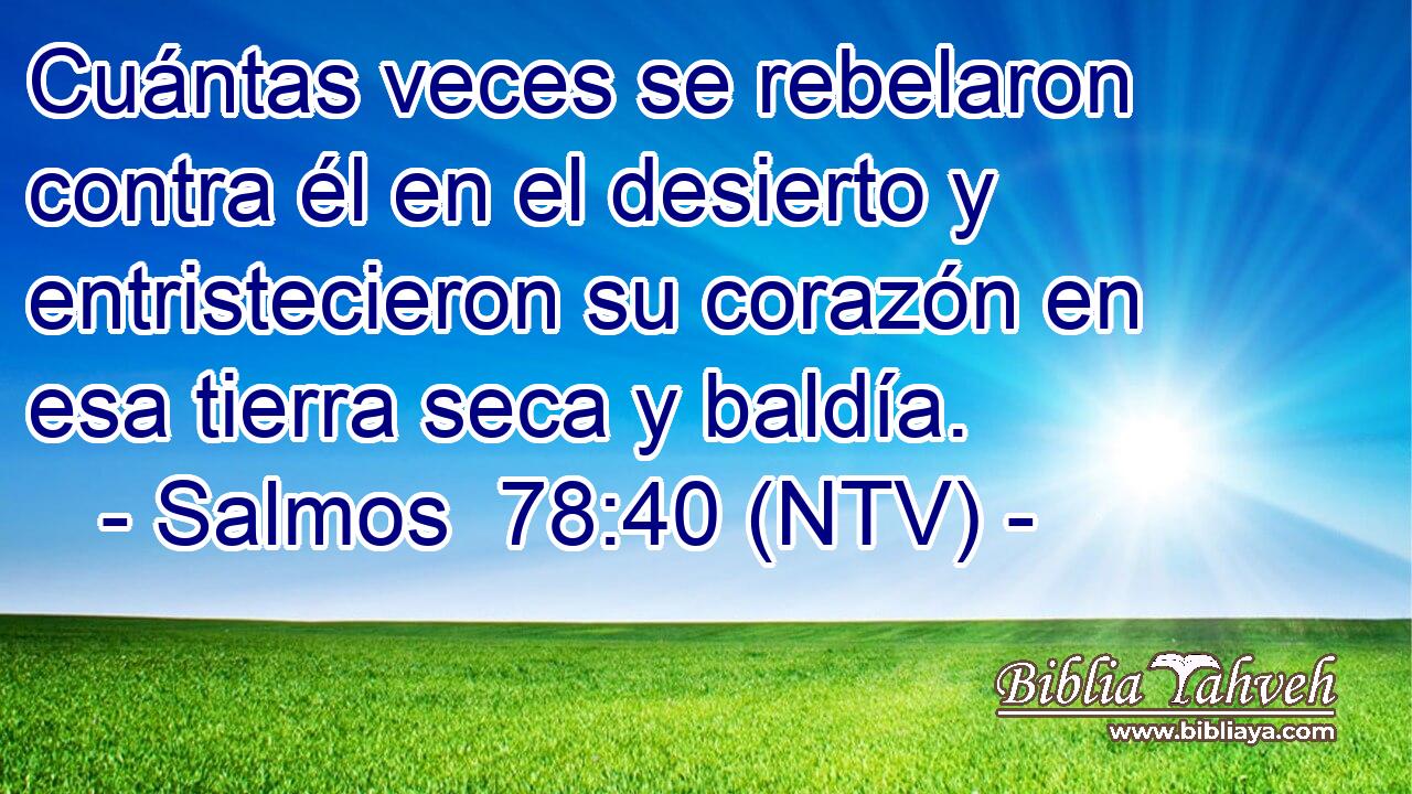 Cuántas veces se rebelaron contra él en el desierto y entristecieron su corazón en esa tierra seca y baldía.