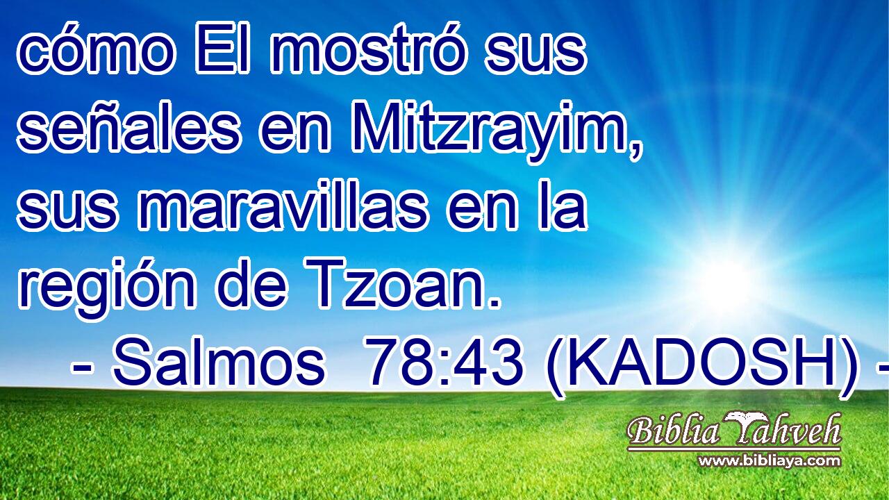  cómo El mostró sus señales en Mitzrayim, sus maravillas en la región de Tzoan. 