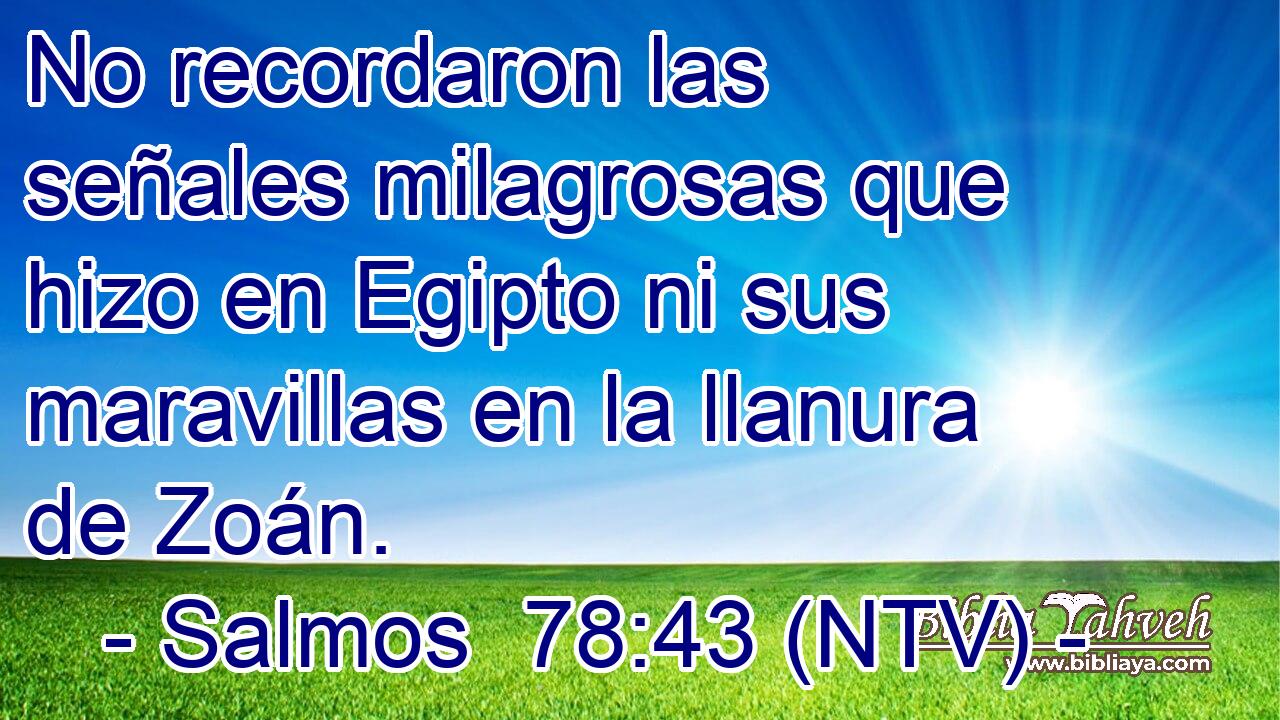 No recordaron las señales milagrosas que hizo en Egipto ni sus maravillas en la llanura de Zoán.