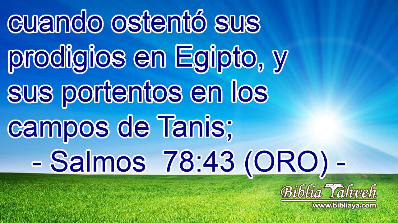  cuando ostentó sus prodigios en Egipto, y sus portentos en los campos de Tanis; 