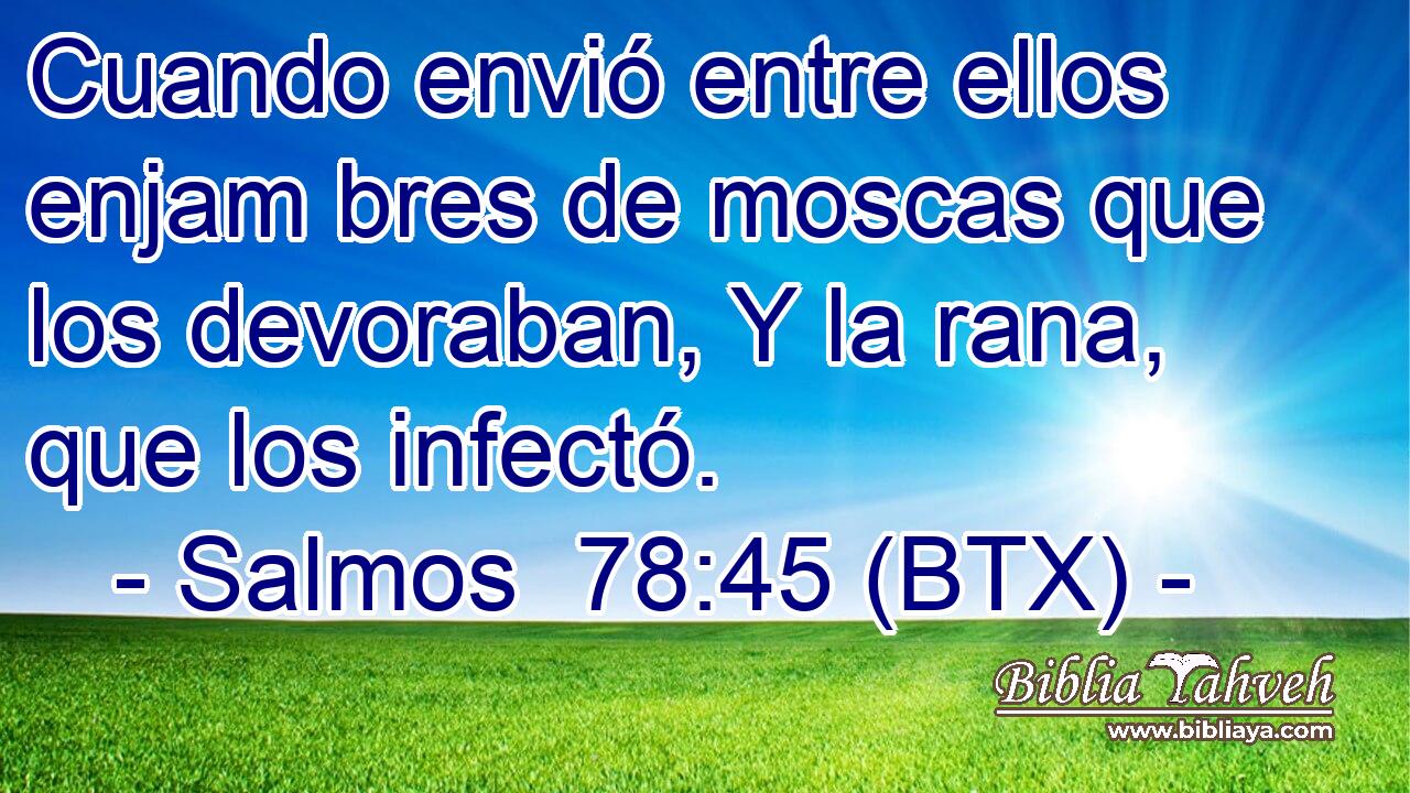 Cuando envió entre ellos enjam bres de moscas que los devoraban, Y la rana, que los infectó.