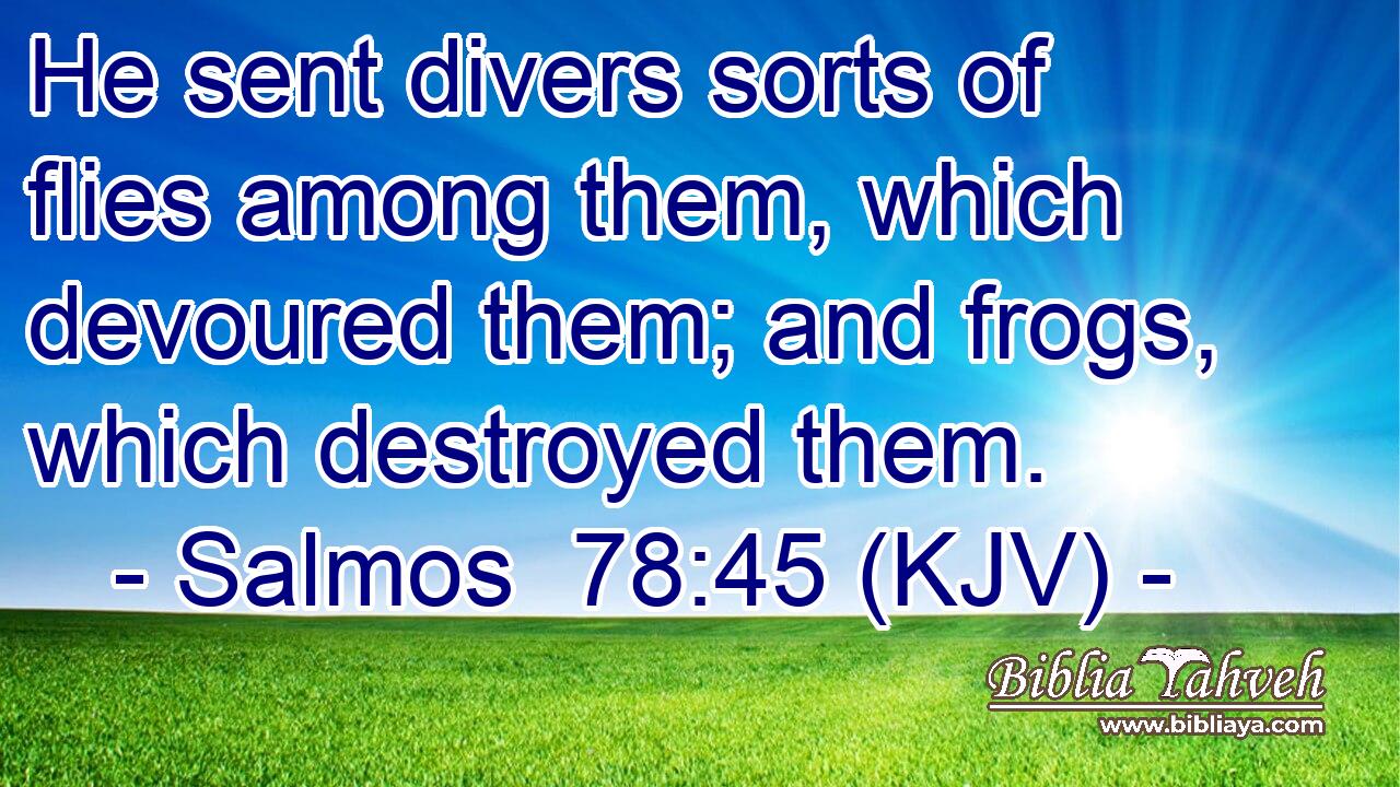 He sent divers sorts of flies among them, which devoured them; and frogs, which destroyed them.