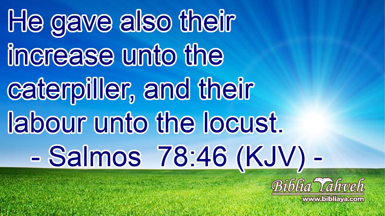 He gave also their increase unto the caterpiller, and their labour unto the locust.
