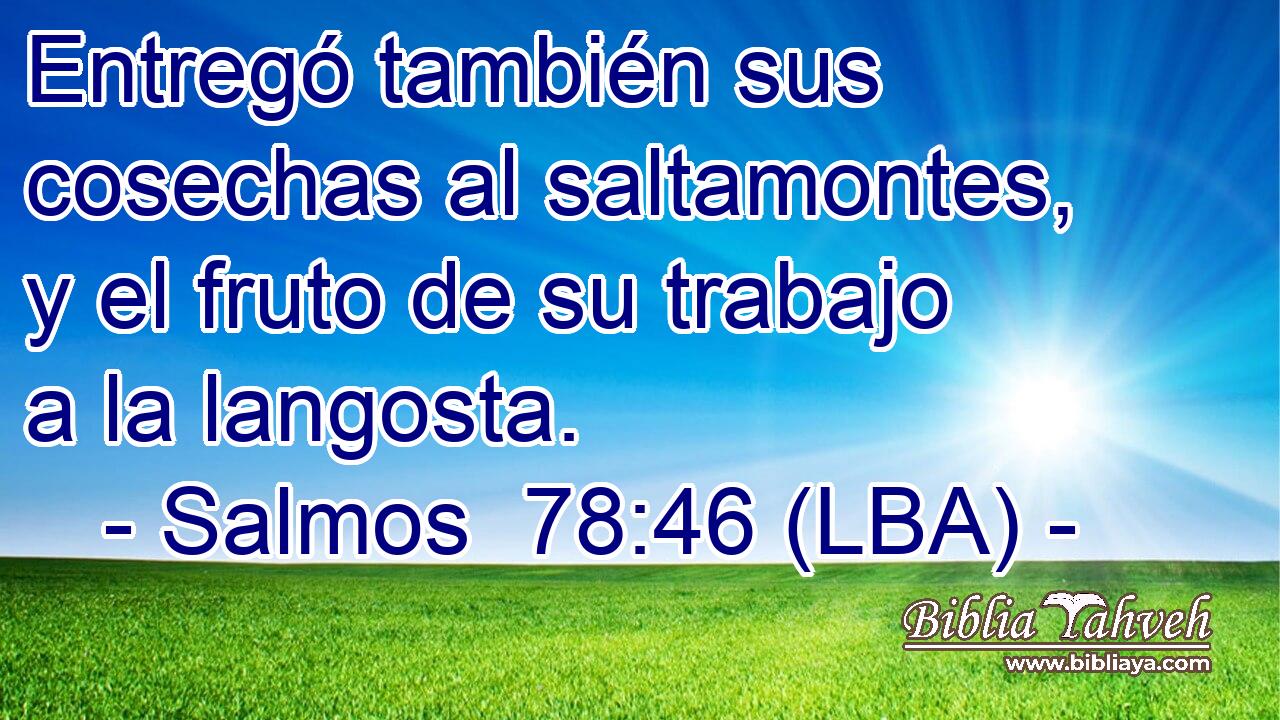 Entregó también sus cosechas al saltamontes, y el fruto de su trabajo a la langosta.