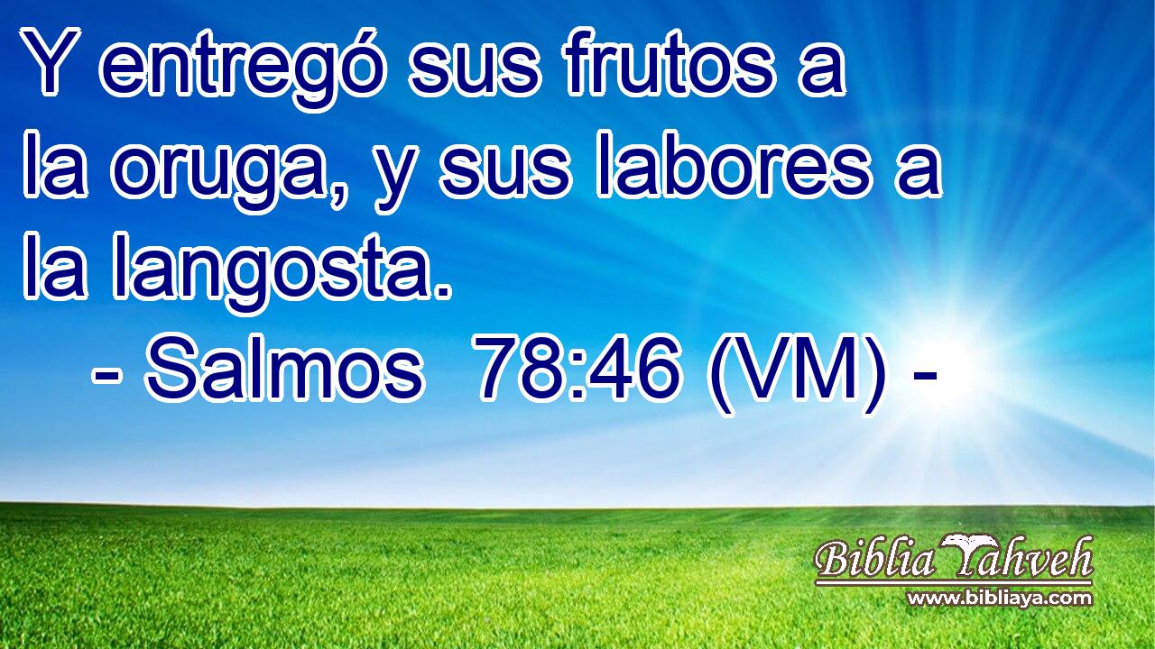  Y entregó sus frutos a la oruga, y sus labores a la langosta. 