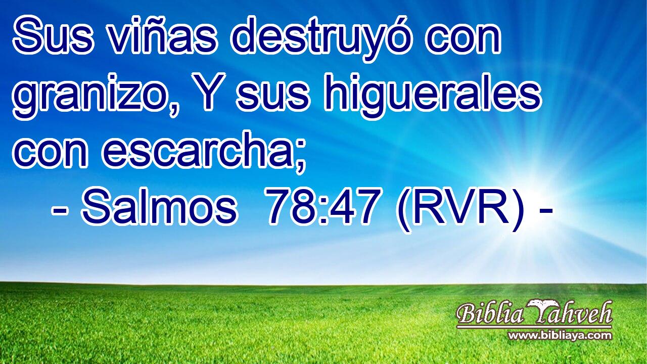 Sus viñas destruyó con granizo, Y sus higuerales con escarcha;