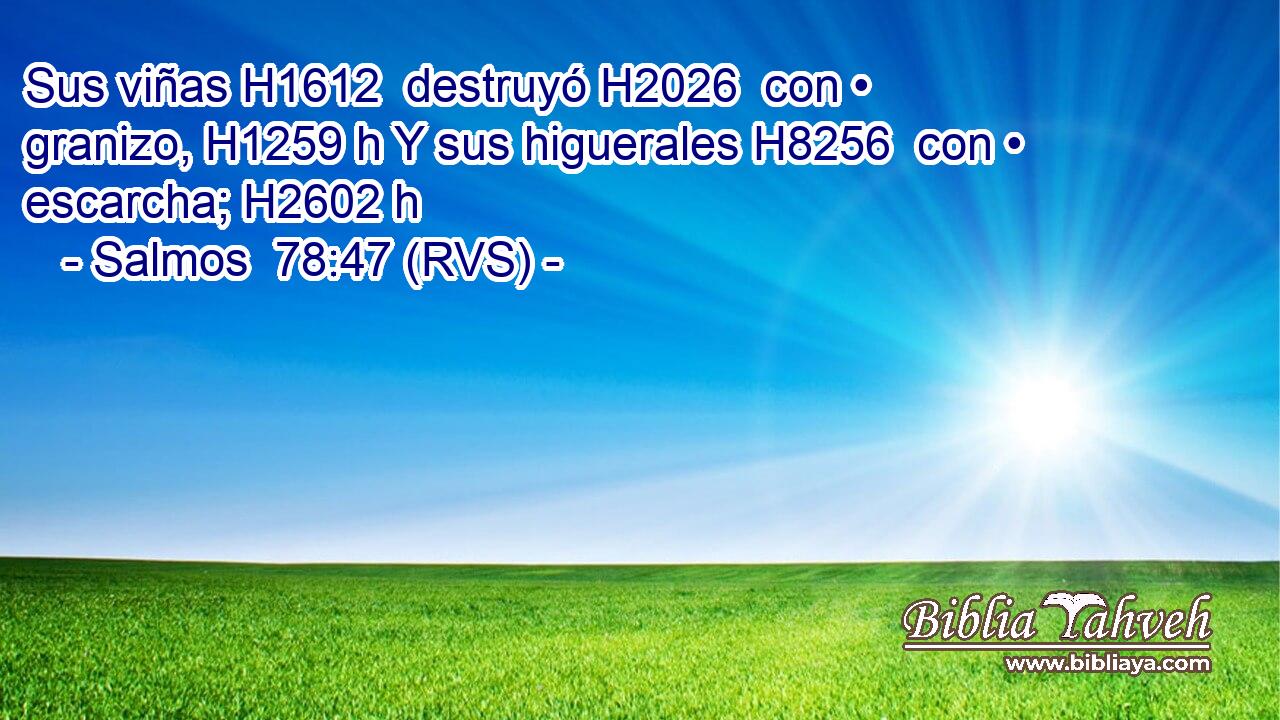 Sus viñas H1612  destruyó H2026  con • granizo, H1259 h Y sus higuerales H8256  con • escarcha; H2602 h 
