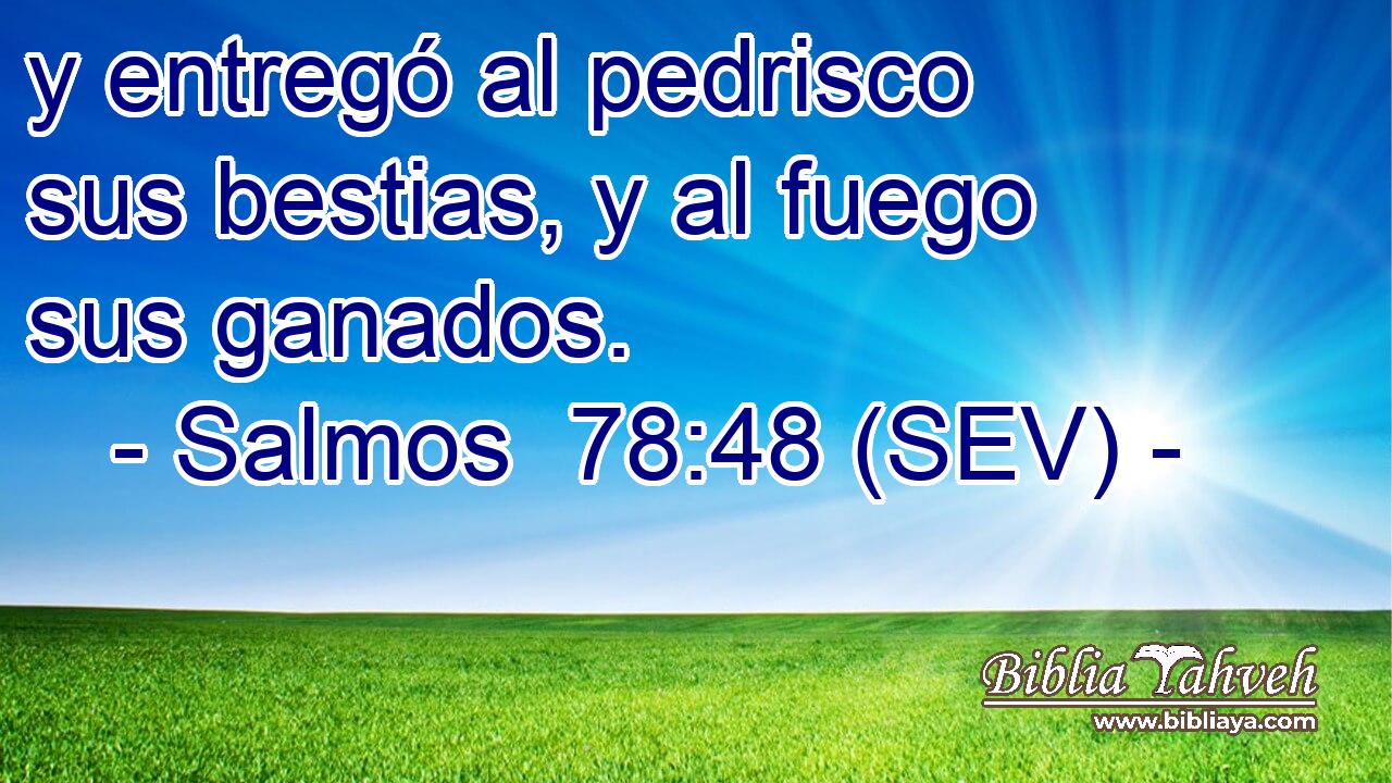 y entregó al pedrisco sus bestias, y al fuego sus ganados.