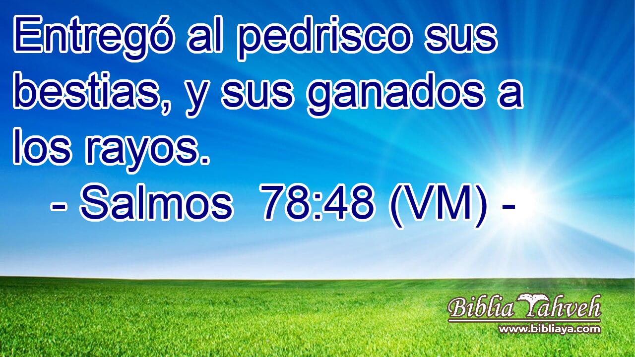  Entregó al pedrisco sus bestias, y sus ganados a los rayos. 