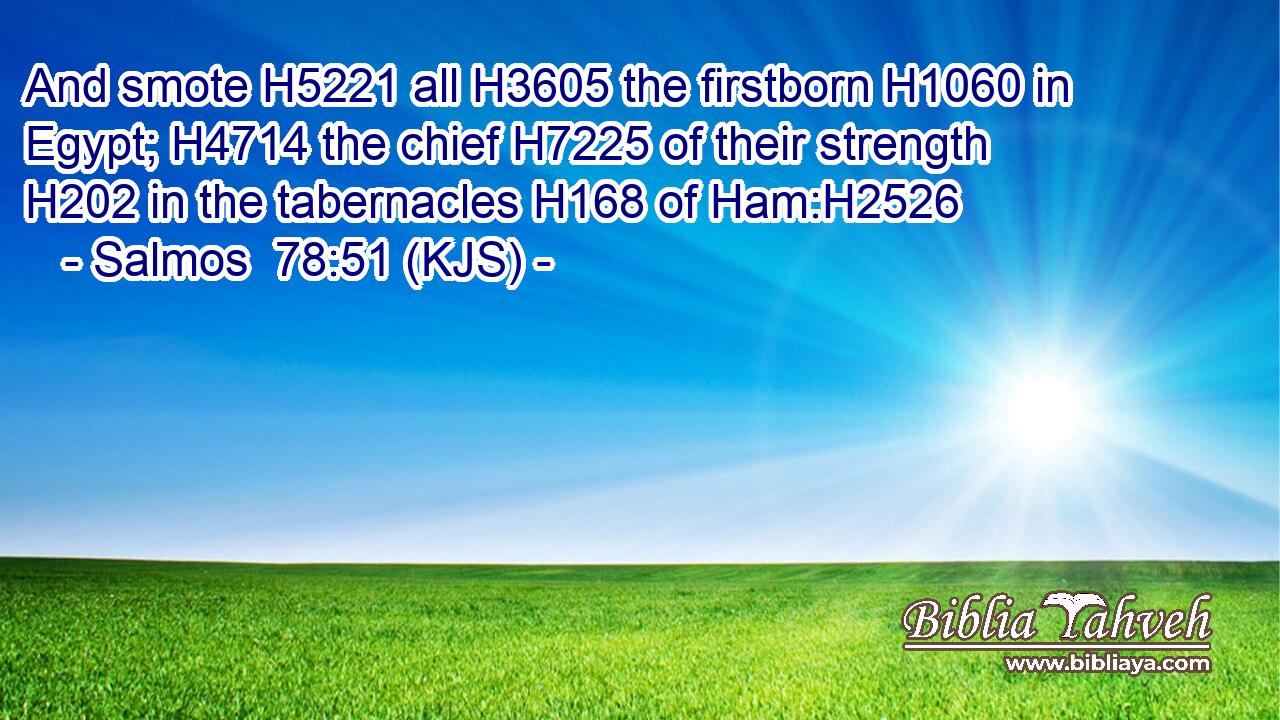 And smote H5221 all H3605 the firstborn H1060 in Egypt; H4714 the chief H7225 of their strength H202 in the tabernacles H168 of Ham:H2526