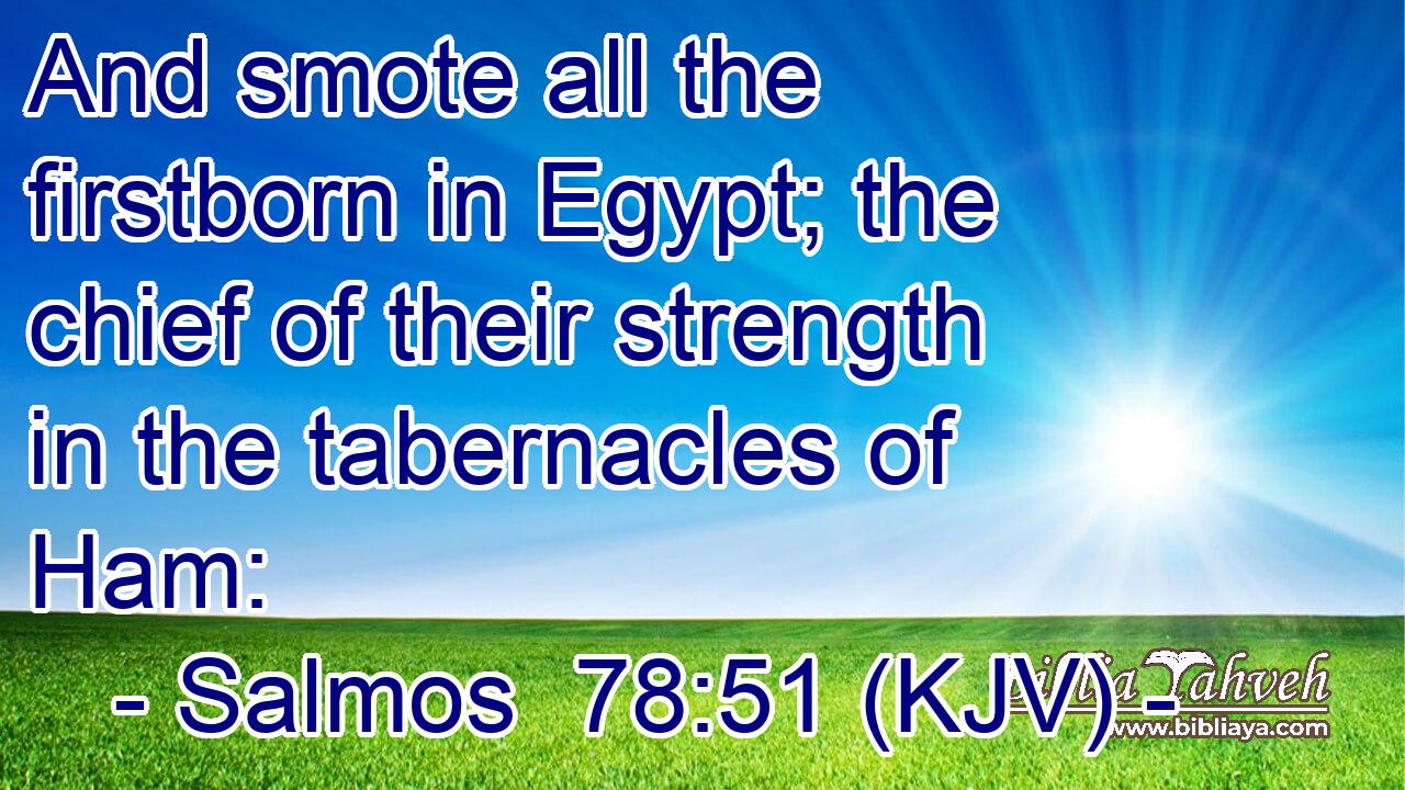 And smote all the firstborn in Egypt; the chief of their strength in the tabernacles of Ham: