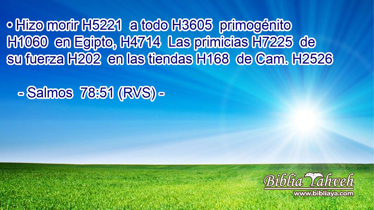 • Hizo morir H5221  a todo H3605  primogénito H1060  en Egipto, H4714  Las primicias H7225  de su fuerza H202  en las tiendas H168  de Cam. H2526  