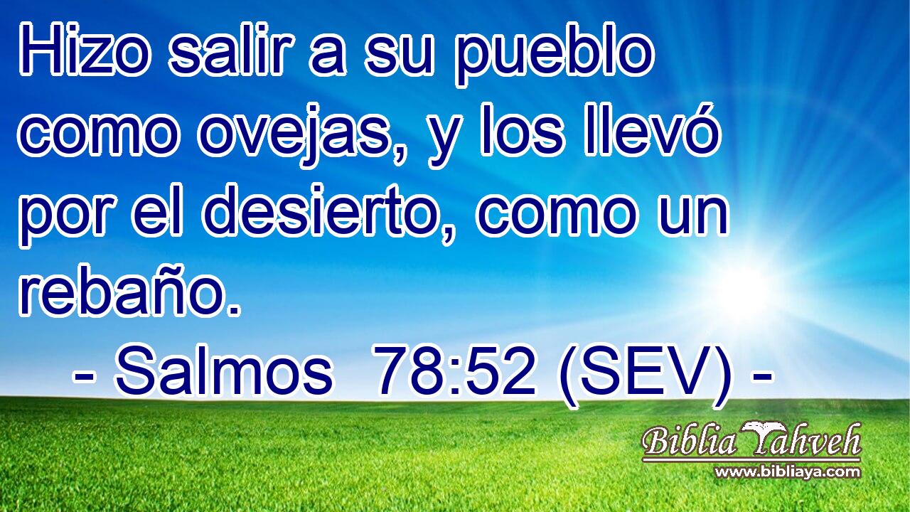 Hizo salir a su pueblo como ovejas, y los llevó por el desierto, como un rebaño.