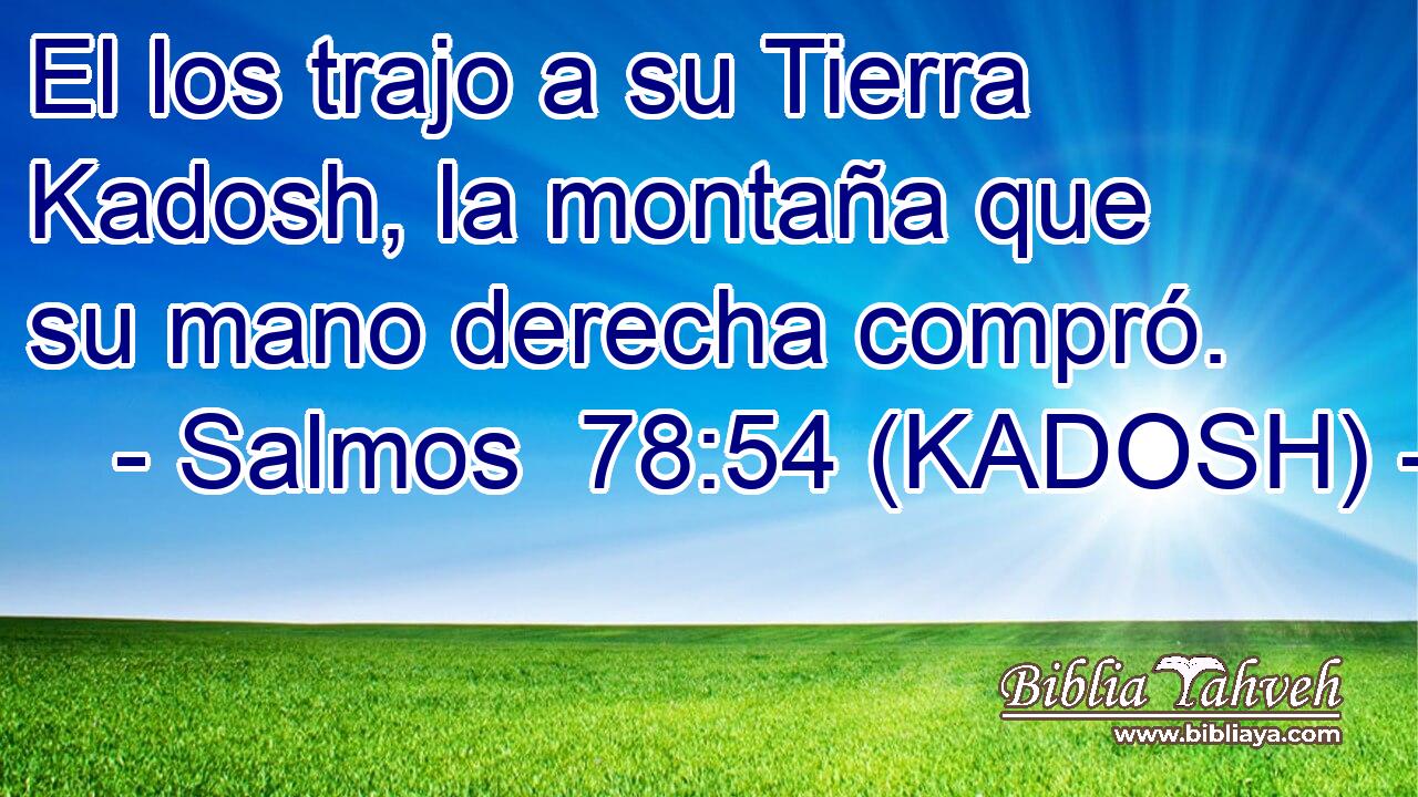  El los trajo a su Tierra Kadosh, la montaña que su mano derecha compró. 