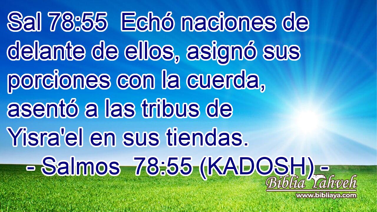  Echó naciones de delante de ellos, asignó sus porciones con la cuerda, asentó a las tribus de Yisra'el en sus tiendas. 