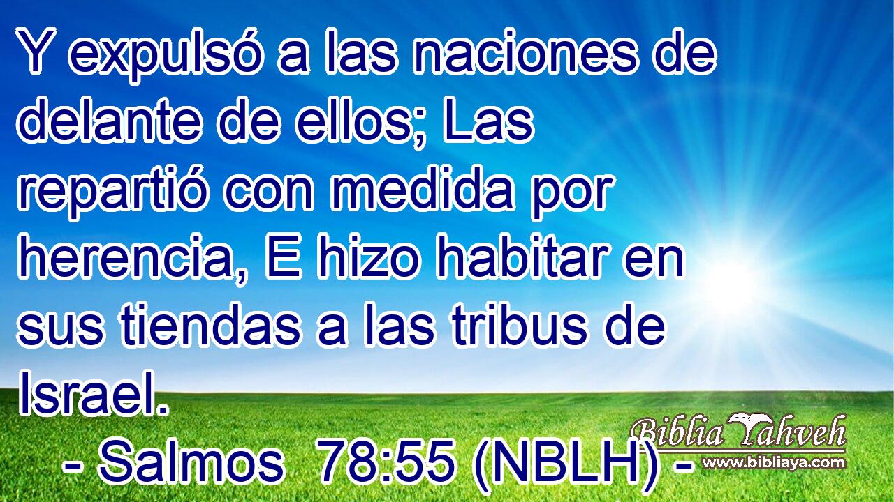  Y expulsó a las naciones de delante de ellos; Las repartió con medida por herencia, E hizo habitar en sus tiendas a las tribus de Israel. 