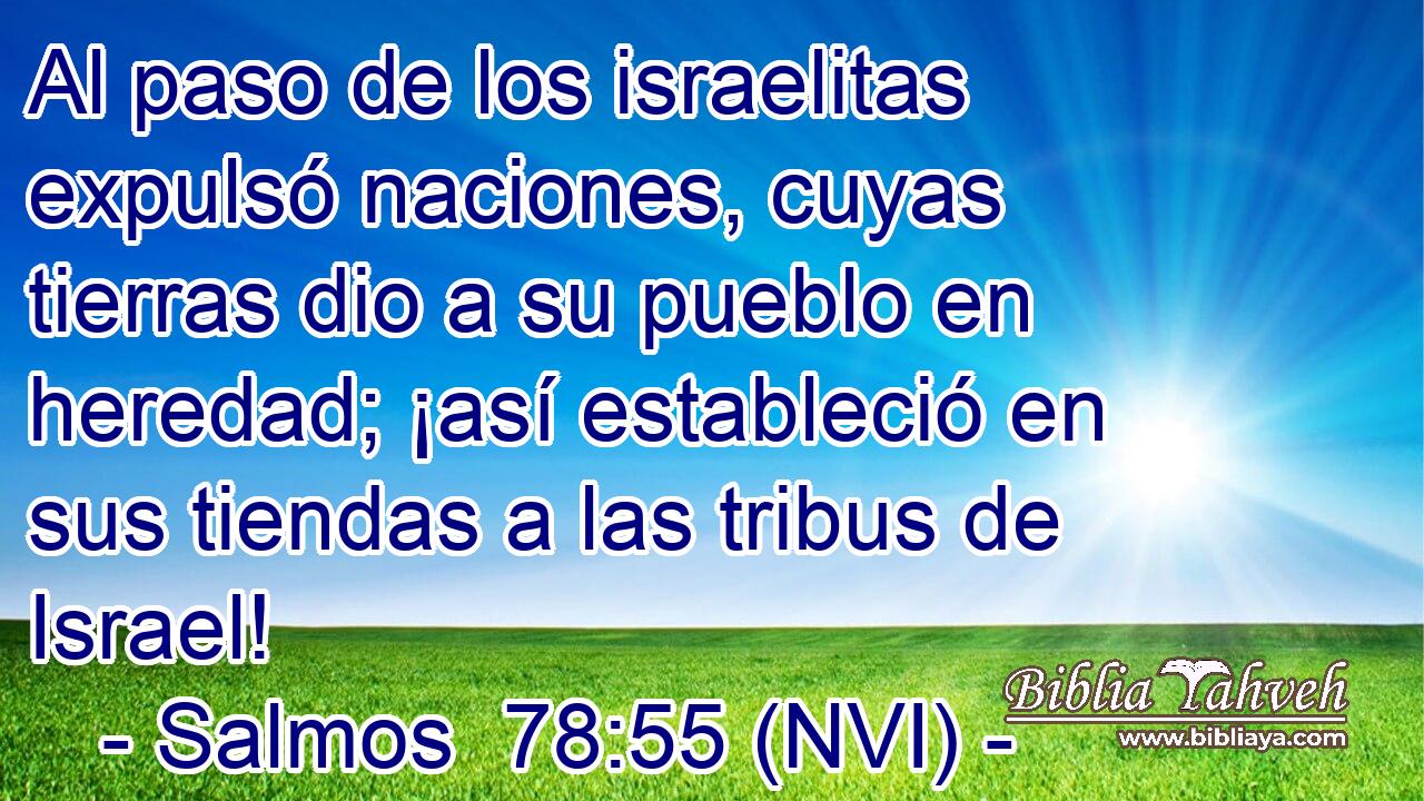  Al paso de los israelitas expulsó naciones, cuyas tierras dio a su pueblo en heredad; ¡así estableció en sus tiendas a las tribus de Israel! 